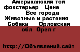 Американский той фокстерьер › Цена ­ 25 000 - Все города Животные и растения » Собаки   . Орловская обл.,Орел г.